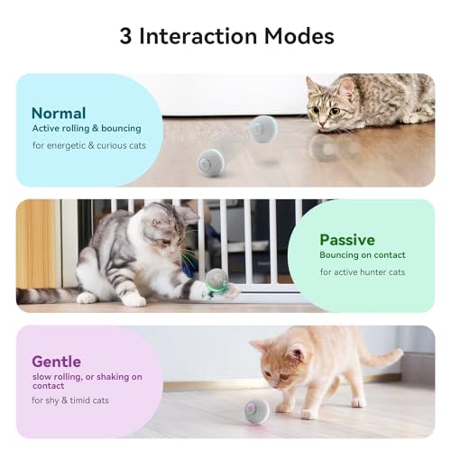 Cheerble Smart Interactive Cat Toy, Automatic Moving Bouncing Rolling Ball for Indoor Cat Kitten, Peppy Pet Ball with Lights and Bell, Grey - color: Grey