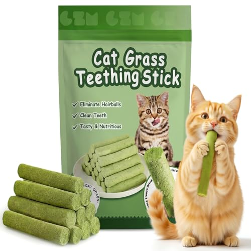 Cat Grass Sticks 6 Pack Silvervine Gall Fruit Chew for Indoor Cats - size: Medium
