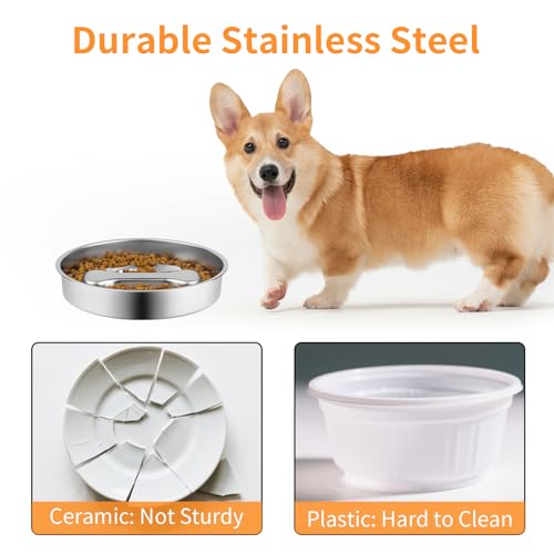 Novery Non-Slip Stainless Steel Slow Feeder Dog Bowl, 2-Cups