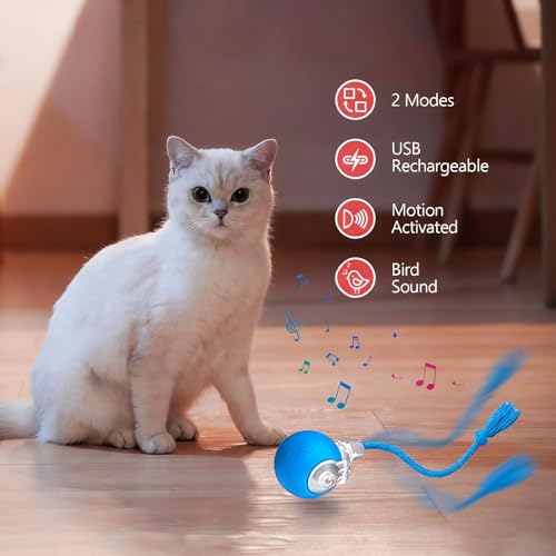 Speed 2.0 Tail Interactive Cat Toys, Rechargeable Ball for Indoor Cats - color: Blue tail