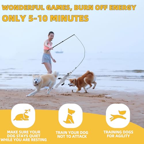 Flirt Pole Dogs, Dog Chase Toy with Squeakers Inside, Dog Fishing Pole Toy for Large Medium Small Dogs to Keep The Puppy Entertained and Physically Exhausted, Ball+Beaver - style: Ball+Beaver