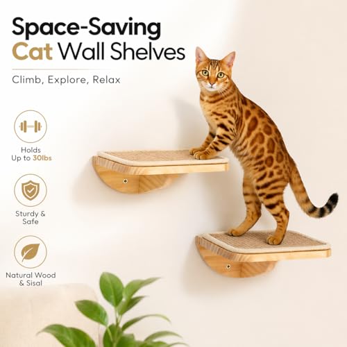 Cat Window Perches, Cat Wall Shelves with Curved Bed and 2 Sisal Mat Steps - color: Combo A (1 Foam-Mat Bed, 2 Steps)