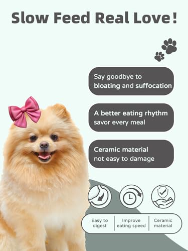 Ceramic 1.5 Cup for Small & Medium Breeds Slow Feeder Dog Bowl (Black) - color: Black
