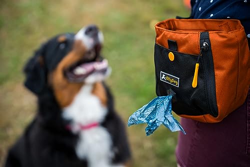 OllyDog Backcountry Day Bag | Hands-Free Dog Training Treat Pouch | Fanny/Hip Pack with Zipper Closure & Built-in Poop Bag Dispenser | Removable Waist Clip (Clay) - color: Clay