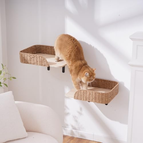 SHENGOCASE 2-Pack Wall Mounted Cat Bed Perch - size: F