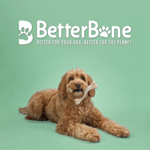 BetterBone Moderate Density Veggie-Scented Dog Chew Toy, Large, Plant-Based Wishbone Dental Enrichment Toy for Chewers Over 60 lbs - size: Large