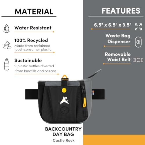 OllyDog Backcountry Day Bag | Dog Training Treat Pouch | Eco-Friendly Recycled Fabric Fanny Pack with Zipper Closure, Built-in Poop Bag Dispenser & Adjustable Waist Belt (Castle Rock) - color: Castle Rock