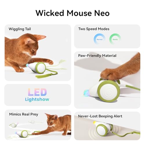 Cheerble Interactive Cat Toys for Indoor Cats, Automatic Moving Kitten Toys, Wicked Mouse Neo Cat Toy with Tail & Lights, Pet Cat Supplies, Rechargeable Cat Toys for Bored Indoor Adult Cats - color: Mouse Neo-Green