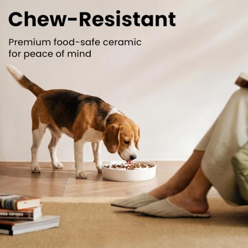 Ceramic Slow Feeder Dog Bowls 1.6 Cups for Medium & Small Fast Eaters,White - color: White, size: M - 1.6 Cups