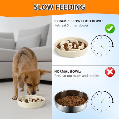 Ceramic Slow Feeder Dog Bowl, 2 Cups Maze Puzzle Dish to Slow Down Eating - color: Flower - White