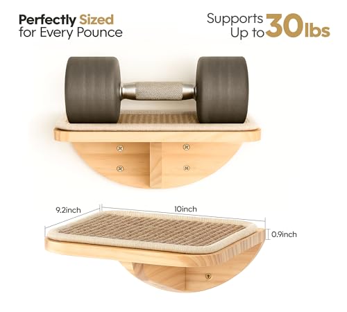 4-PCS Cat Wall Shelves with Foam-Padded Bed & Sisal Steps for Indoor Cats - color: Combo C (1 Foam-Mat Bed, 2 Steps&1 Shelf)