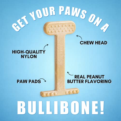 Bullibone Nylon Dog Chew Toy for Aggressive Chewers - Dental Hygiene Bone with Peanut Butter Flavor, Durable Tough Chew Toys for Small Dogs, Indestructible Dog Bone - Single - size: Small - Single