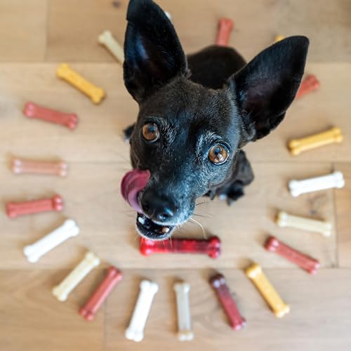 Nylabone Power Chew Customer Favorites Dog Chew Toys, 3 Count, Small - color: Bundle, size: Small
