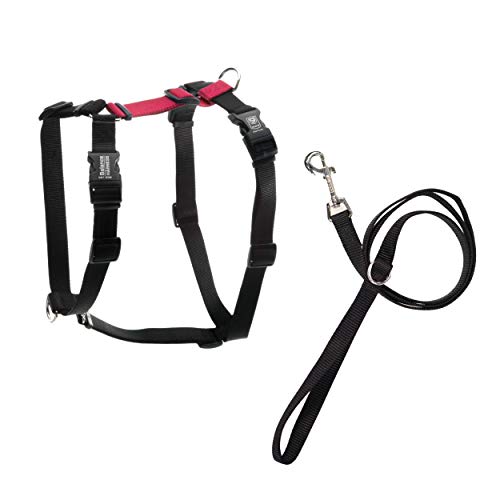 Blue-9 Balance Harness® and Leash Walking Set for Dogs, No-Pull, Red, L - color: Red, size: Large