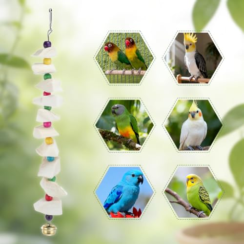 Bird Toys with Cuttlebone, Grinding Stone for Bird, 3 Pcs