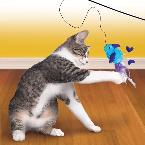 KONG Cat Teaser Wand Toy - Encourages Pouncing & Batting (Feather) - color: Feather