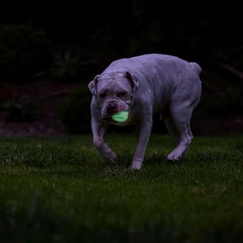 Chuckit! Air Glow Fetch Ball Dog Toy, Medium 2.5in, 2 Pack - size: Medium