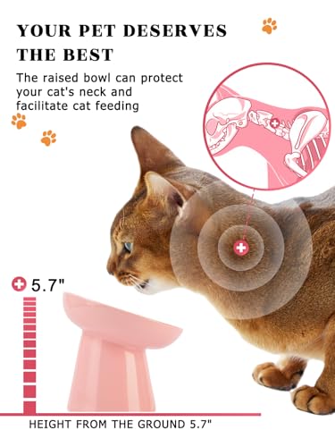 Y YHY 6 Inch Slow Feeder Bowl, Elevated Dog & Cat Bowl, Ceramic, Anti Vomiting, Pink - color: Pink