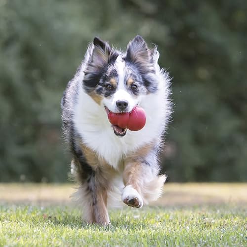 KONG Classic Stuffable Dog Toy, Natural Rubber Chew, for XX-Large Dogs - size: XX-Large