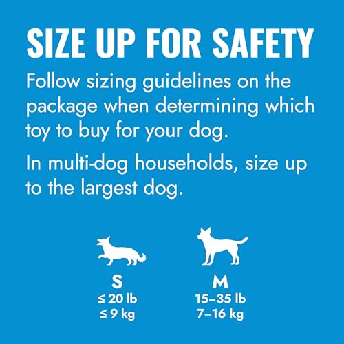 KONG Puppy Goodie Bone, Natural Rubber Chew, for Medium Puppies, Blue - color: Blue, size: Medium