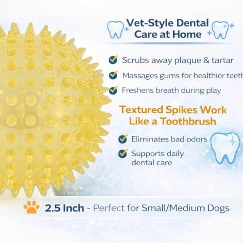 Squeaky Spiky Dog Ball for Teeth Cleaning & Gum Massage 2.5 Inch Small Medium Dogs Yellow | Spiny TPR Rubber Chew Toy for Fetch Play Interactive Bouncy Dental Ball Durable BPA Free Nontoxic Floats - size: Yellow Ball 1-Pack