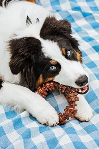 Nylabone Textured Ring Power Chew Toy for X-Large Dogs 50+ lbs - color: Textured Ring, size: X-Large
