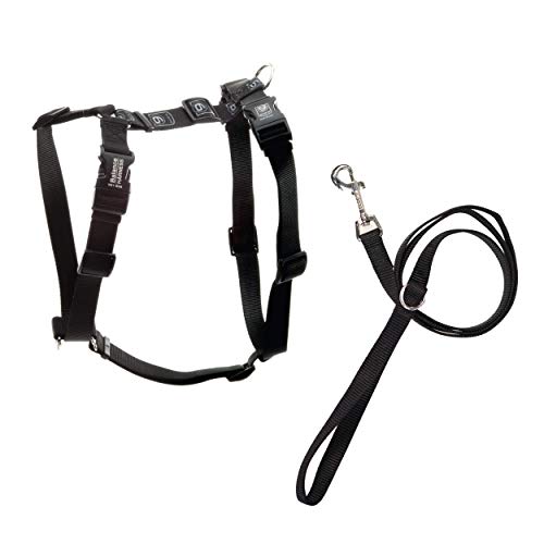 Blue-9 Balance Harness® and Leash Walking Set for Dogs, No-Pull, Black, M - color: Black, size: Medium