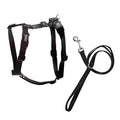 Blue-9 Balance Harness® and Leash Walking Set for Dogs, No-Pull, Black, M - color: Black, size: Medium
