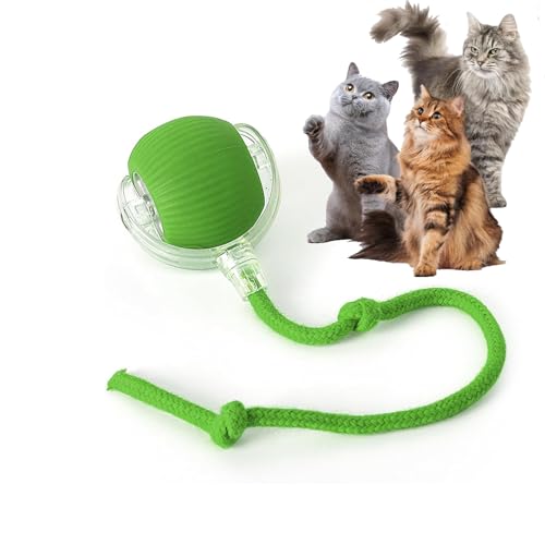 Rocfish Durable Interactive Cat Toys for Indoor Cats (Green, 01) - color: green01, size: 01