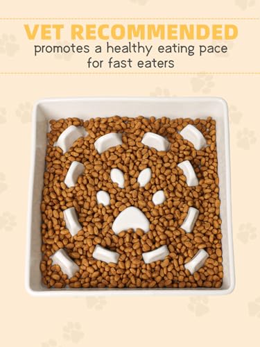 GDCZ Ceramic Dog Slow Feeder Bowls, Square Bowls (White, M-1.8 Cups) - color: White, size: M-1.8 Cups