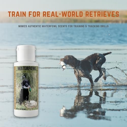 Game Training Scents for Hunting Dogs - Field-Train Your Dog to Track and Retreive for Upland Hunts - size: Scent Kit, style: Waterfowl
