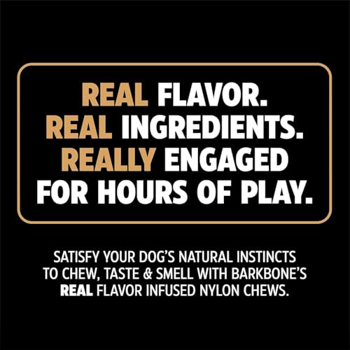 Pet Qwerks Dinosaur BarkBone Nylon Dog Chew, Bacon Flavor, Medium 8.5in - size: Medium