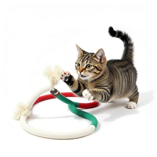 Cat Chewing Ropes Toys 3pcs with Refillable Natural Catnip, Safe Teeth Cleaning Chew Toy for Indoor Kittens, Interactive Cat Nip Kitty Toys for All Breeds (27.5 Inches)