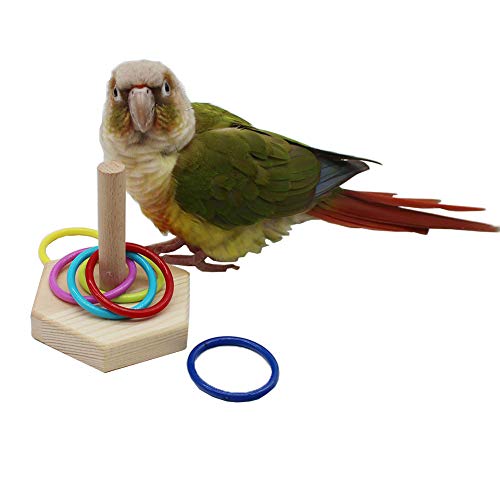QBLEEV Bird Tabletop Toy, Parrot Activity & Training Trick Color Ring Toys - color: Color Circle A