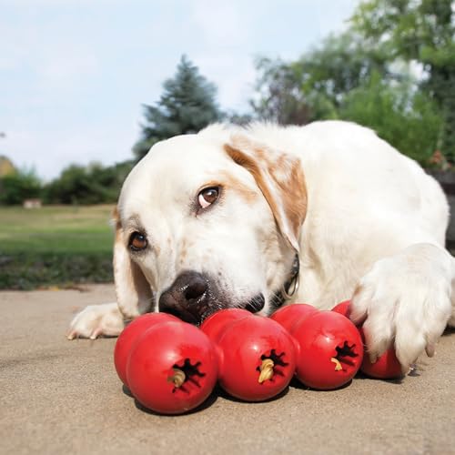 KONG Goodie Ribbon, Stuffable Natural Rubber Dog Toy, for Large Dogs - size: Large (Pack of 1)