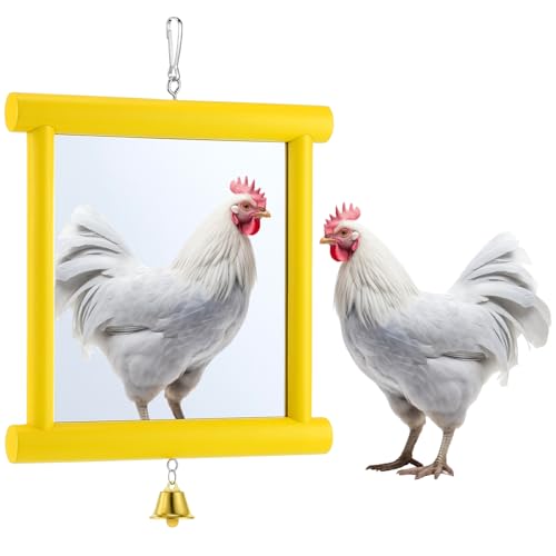 Sadnyy Extra Large Chicken Mirror Toy for Coop Square Double Side Mirror - color: Yellow, size: Square