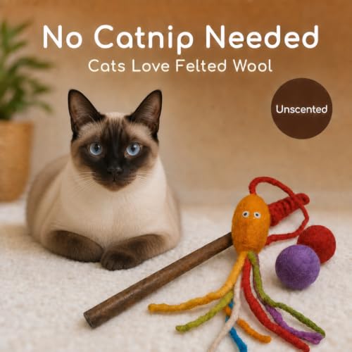 Wool Cat Toy - Felted Wool Rainbow Squid