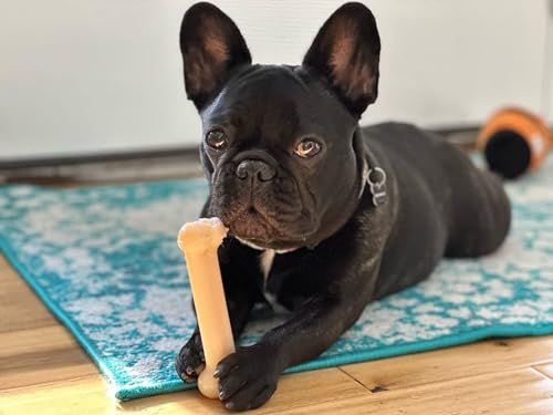 Nylabone Power Chew Original Bone Dog Chew Toy, Original Flavor, Medium - size: Medium