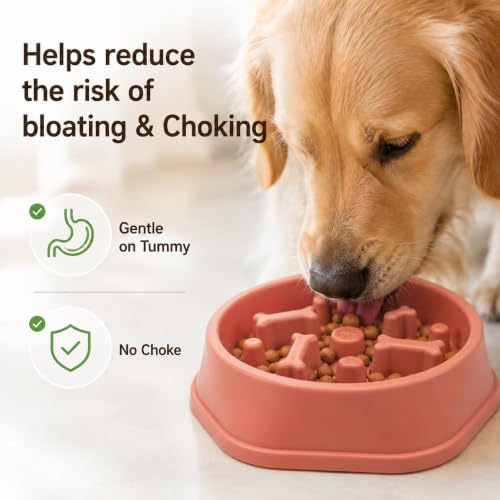Slow Feeder Dog Bowl,Suitable for Small and Medium Breeds.Pink - color: Pink