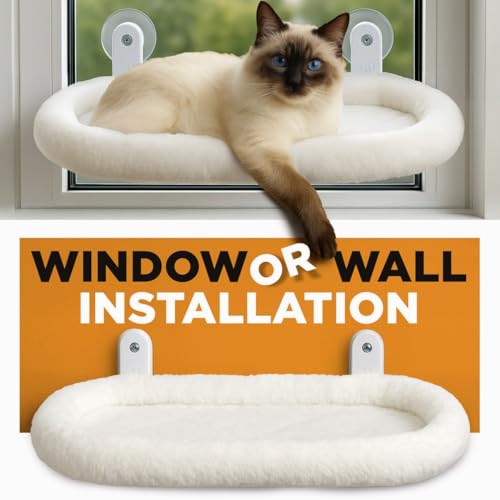 Cat Window Perch – Strong 6 Suction Cup Foldable Cat Hammock Bed for Large Cats and Kittens that Holds up to 50 lbs with Washable Reversible Cover, Sturdy Metal Frame for Window (White) - color: White