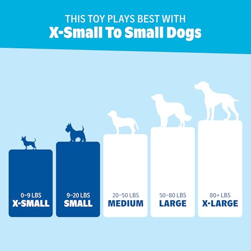BarkBox Fun Gus Dog Toy - Two-in-One - Toy for Extra Small to Small Dogs - color: Fun Gus