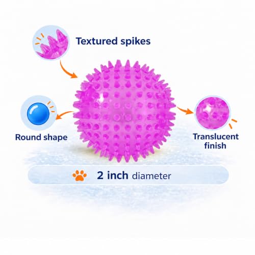 Squeaky Spiky Dog Ball for Teeth Cleaning & Gum Massage 2 Inch Puppy Small Dogs Purple | Spiny TPR Rubber Chew Toy for Fetch Play Interactive Bouncy Dental Ball Durable BPA Free Nontoxic Floats - size: 2 Inch Purple Ball 1-Pack