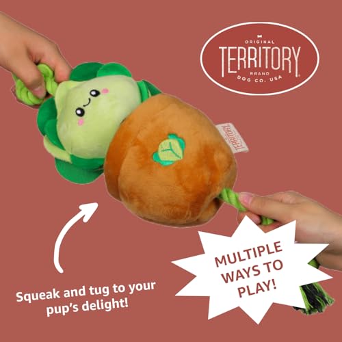 Territory Interactive Play Plush Treat-and-Tug Reward Toy for Dogs, Lettuce - style: Lettuce
