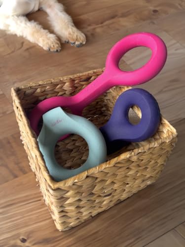 Ubbi Pet x Karim Rashid Dog Toy Set - size: One Size, style: Pink, Purple & Blue Set