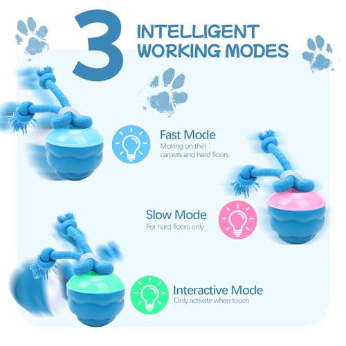 Goosheep 2026 New Interactive Dog Toys, Automatic Moving Dog Ball for Medium/Large Dogs, Interactive Smart Rolling Dogs Toy Ball with Light Up to Keep Them Busy(Blue) - color: Blue