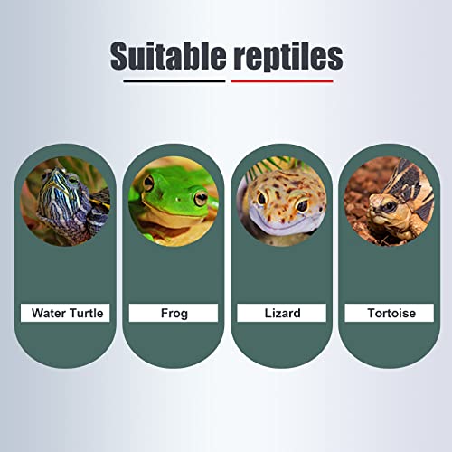 WEAVERBIRD Turtle Basking Platform, Double Decker Reptile Habitat