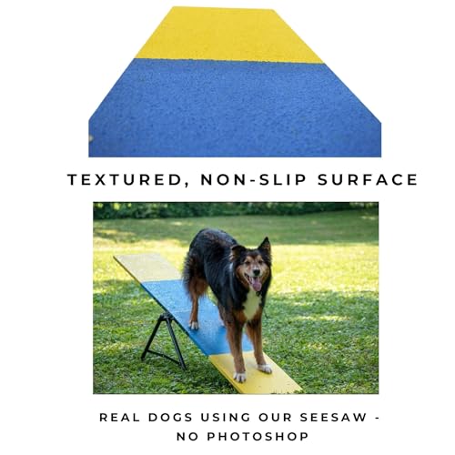Better Sporting Dogs Practice See Saw Dog Agility Teeter
