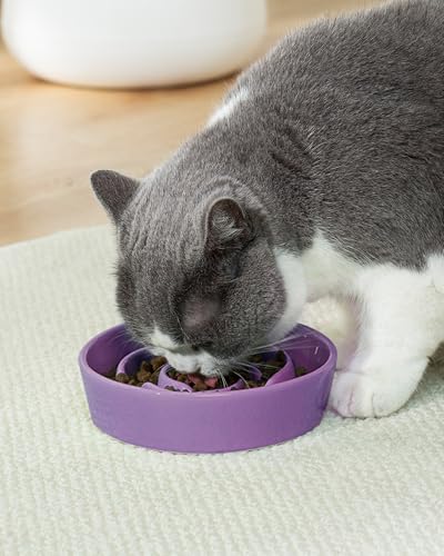 TRUVIC Ceramic Slow Feeder Dog Bowls Small Breed, 0.6 Cup Slow Feeder Cat Bowls for Fast Eaters, Ceramic Dog Food Dish no Black Chin, Puzzle Bowl for Small Dogs and Cats, Purple - color: 03-Purple, size: S-0.6 Cups