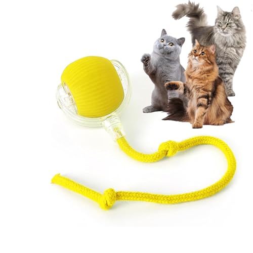 Rocfish Durable Interactive Cat Toys for Indoor Cats (Yellow, 01) - color: yellow01, size: 01