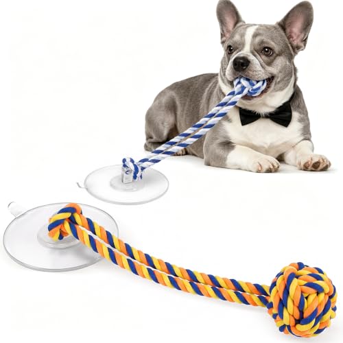 Dog Rope Toy with Suction Cup Interactive Tug of War Toy 2Pcs - size: suction cup